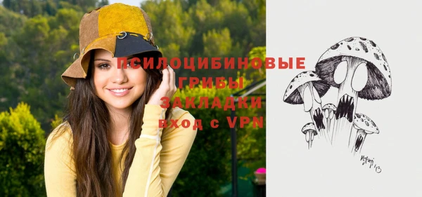 гидропоника Алзамай