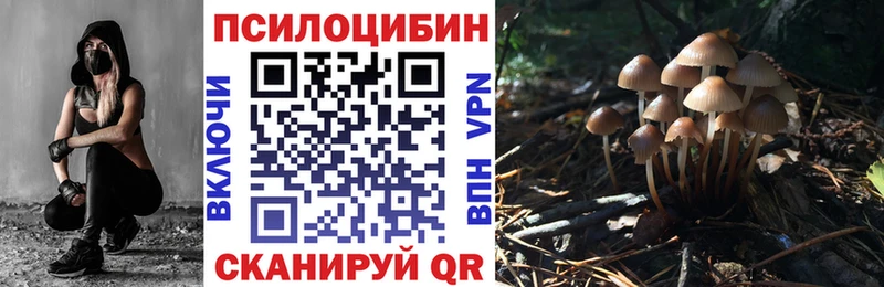 продажа наркотиков  Кукмор  Галлюциногенные грибы прущие грибы 